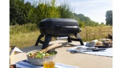 Napoleon TravelQ 240 Portable Gas BBQ 7 Napoleon TravelQ 240 Portable Gas BBQ -Barbecue Store TQ240BK Lifestyle2 1000x563 1